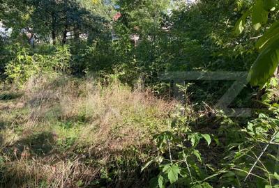 Casă cu 3 camere cu Teren 475 Mp în Ultracentral