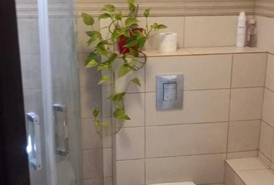 Apartament cu 2 camere decomandat în Precista