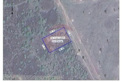 Teren agricol extravilan de 974 mp, în Paleu - 1