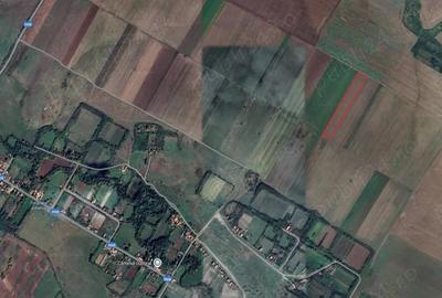 Teren în Duboz - 4