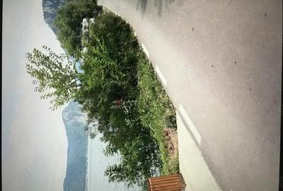 Teren de 3000 mp, în Dubova - 3