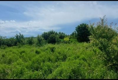 Teren de 4600 mp, în Văcărești - 1