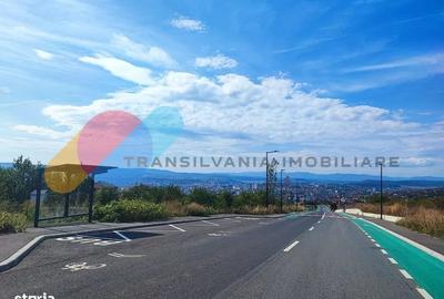 Teren Construcții extravilan de 7800 mp, în Iris - 1