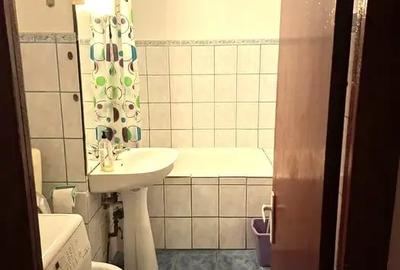 Apartament cu 2 camere semidecomandat, mobilat în Bucovina - 1