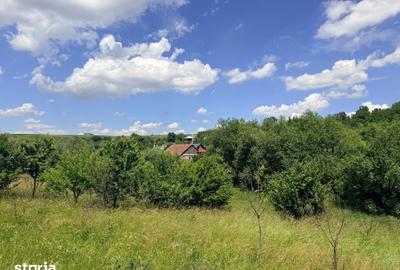 Teren de 2162 mp, în Șcheia - 4