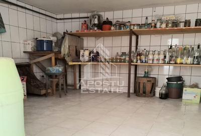 Casă individuală cu 5 camere cu Teren 697 Mp în Vladimirescu - 25