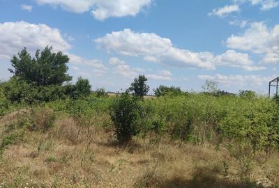 Teren Construcții intravilan de 748 mp, în Clinceni - 2