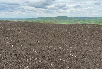 Teren agricol extravilan de 10200 mp, în Țagu - 3