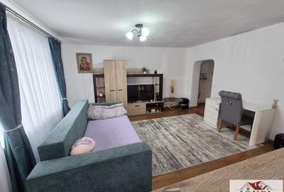 Casă individuală cu 3 camere cu Teren 4700 Mp în Vințu de Jos - 1