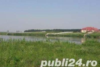 Teren de 1325 mp, în Mogoșoaia