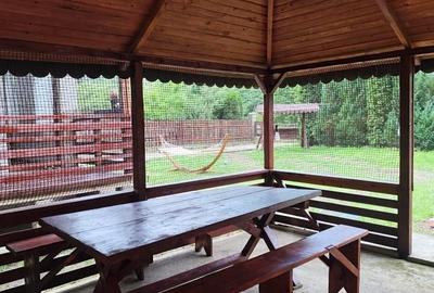 Casă cu 3 camere în Vad - 1