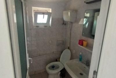 Casă cu 2 camere în Coiciu - 13