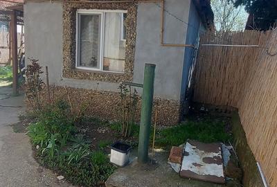 Casă cu 3 camere în Biharia - 3
