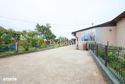 Casă cu 3 camere cu Teren 2881 Mp în Vedea