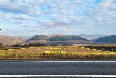 Teren Construcții intravilan de 9000 mp, în Gilău - 2