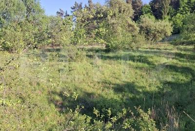 Teren de 10000 mp, în Tărlungeni - 3