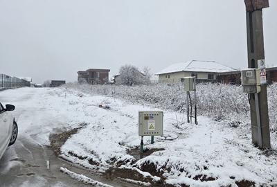 Teren de 1712 mp, în Moșoaia - 7