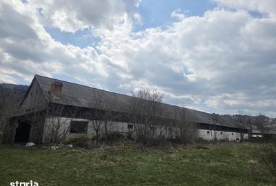 Spațiu comercial, de 560 mp, în Tulgheș - 3