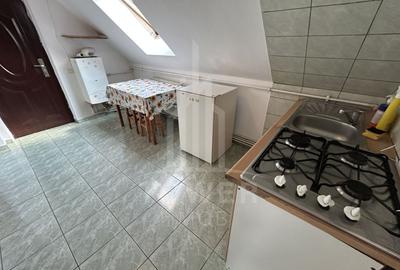 Apartament cu 2 camere decomandat în Turnișor - 5