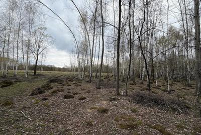 Teren de 15000 mp, în Izvoru - 9