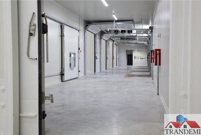 Spațiu comercial, de 1,200 mp, în Lancrăm - 16
