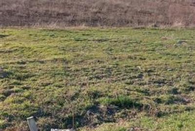 Teren Construcții intravilan de 1392 mp, în Odaia Manolache