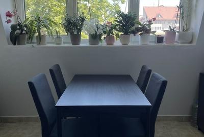 Apartament cu 2 camere decomandat în Zorilor - 8
