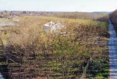 Teren de 510 mp, în Siliștea Snagovului - 2