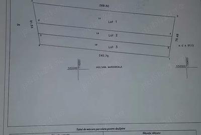 Teren de 20000 mp, în Sârbi