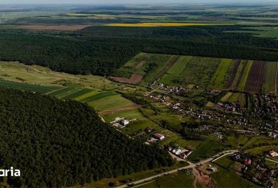 Teren de 1000 mp, în Bucovăț