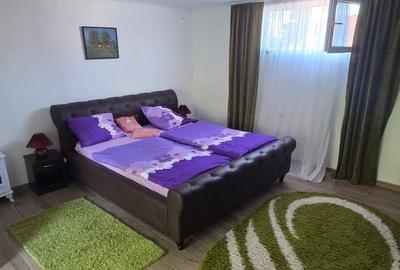 Apartament cu 2 camere semidecomandat în Central - 8