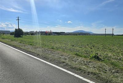 Teren Construcții extravilan de 18000 mp, în Periferie - 5