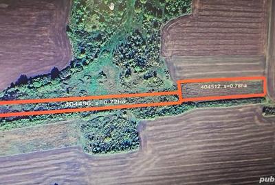 Teren de 15000 mp, în Folea - 1