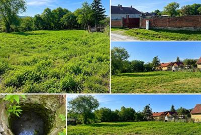 Spațiu comercial, de 1,500 mp, în Giurtelecu Șimleului - 1