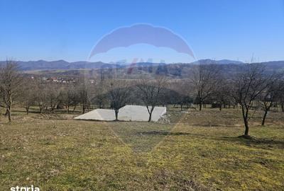 Teren de 4627 mp, în Bârsana - 3