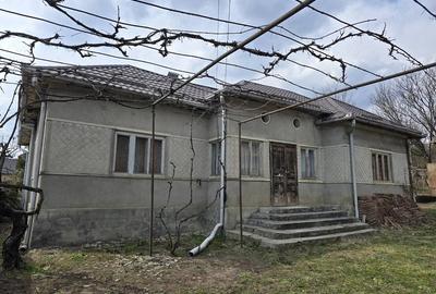 Casă cu 3 camere cu Teren 1000 Mp în Ceaca - 5