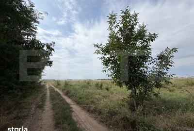 Teren de 702 mp, în Central