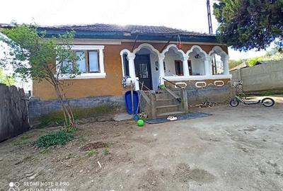 Casă cu Teren 2480 Mp în Păltinișu - 1