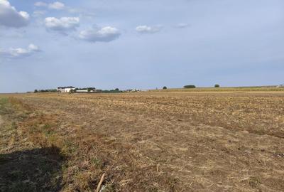 Teren Construcții intravilan de 320 mp, în Berceni - 5