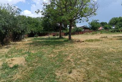 Teren de 1550 mp, în Uzunu
