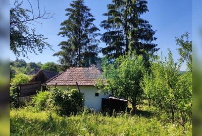 Teren Construcții intravilan de 72000 mp, în Topa Mică - 2