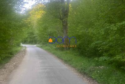 Teren Construcții intravilan de 4235 mp, în Poiana Mărului - 1
