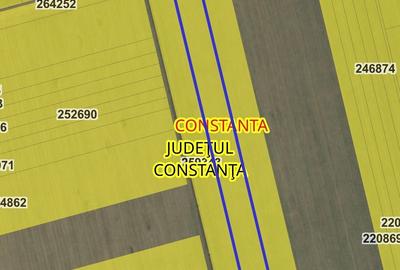 Teren agricol extravilan de 50000 mp, în Viile Noi - 4