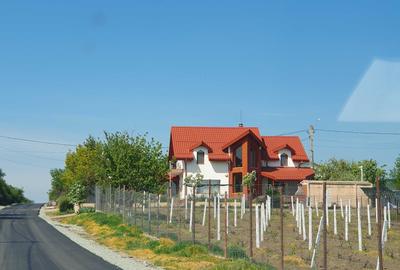Casă cu 4 camere cu Teren 670 Mp în Gruiu - 8