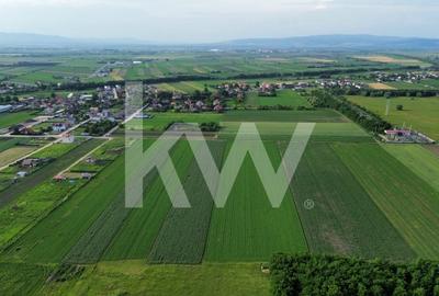 Teren Construcții intravilan de 17240 mp, în Stupini - 8
