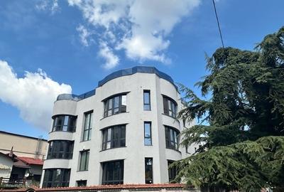 Casă individuală cu 12 camere cu Piscina în Cotroceni - 2