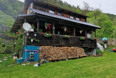 Casă cu 2 camere în Poșaga