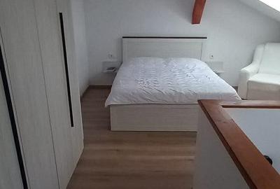Apartament cu 2 camere semidecomandat în Sânpetru - 6
