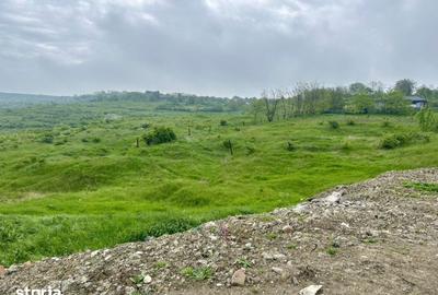 Teren de 5100 mp, în Aroneanu - 7