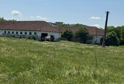 Teren de 13921 mp, în Central